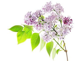 《黑神话》带货能力太强 一小时卖出60台PS5